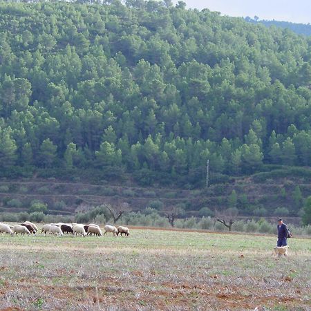 La Bodega Enoturismo Rural Mogente 外观 照片