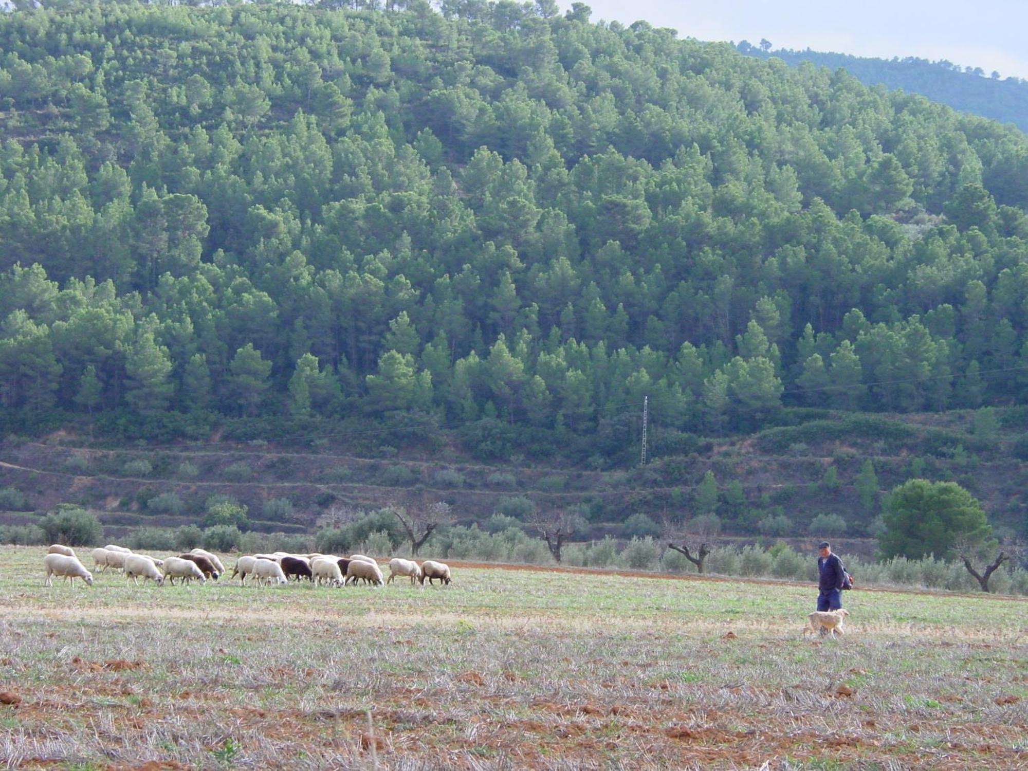 La Bodega Enoturismo Rural Mogente 外观 照片